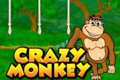crazy-monkey-suncity-situs-judi-live-casinos-online-terpercaya-indonesia-2020
